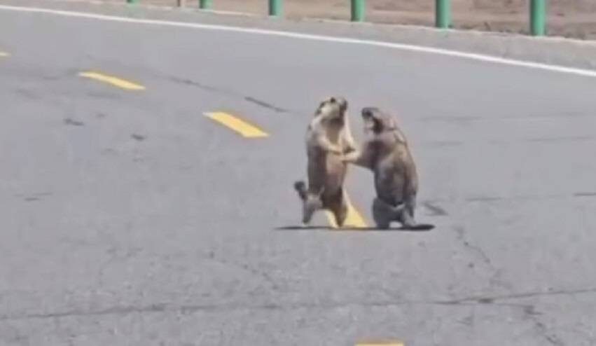    Источник фото: