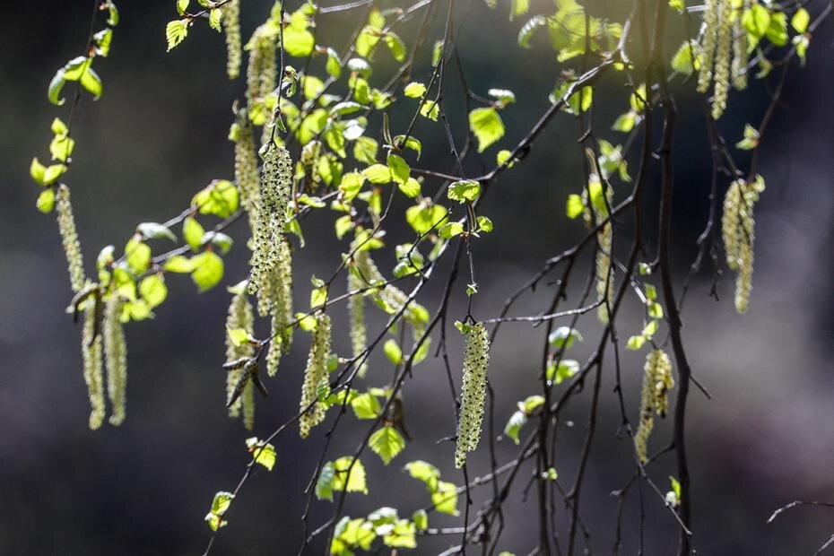    Сергей Булкин/NEWS.ru