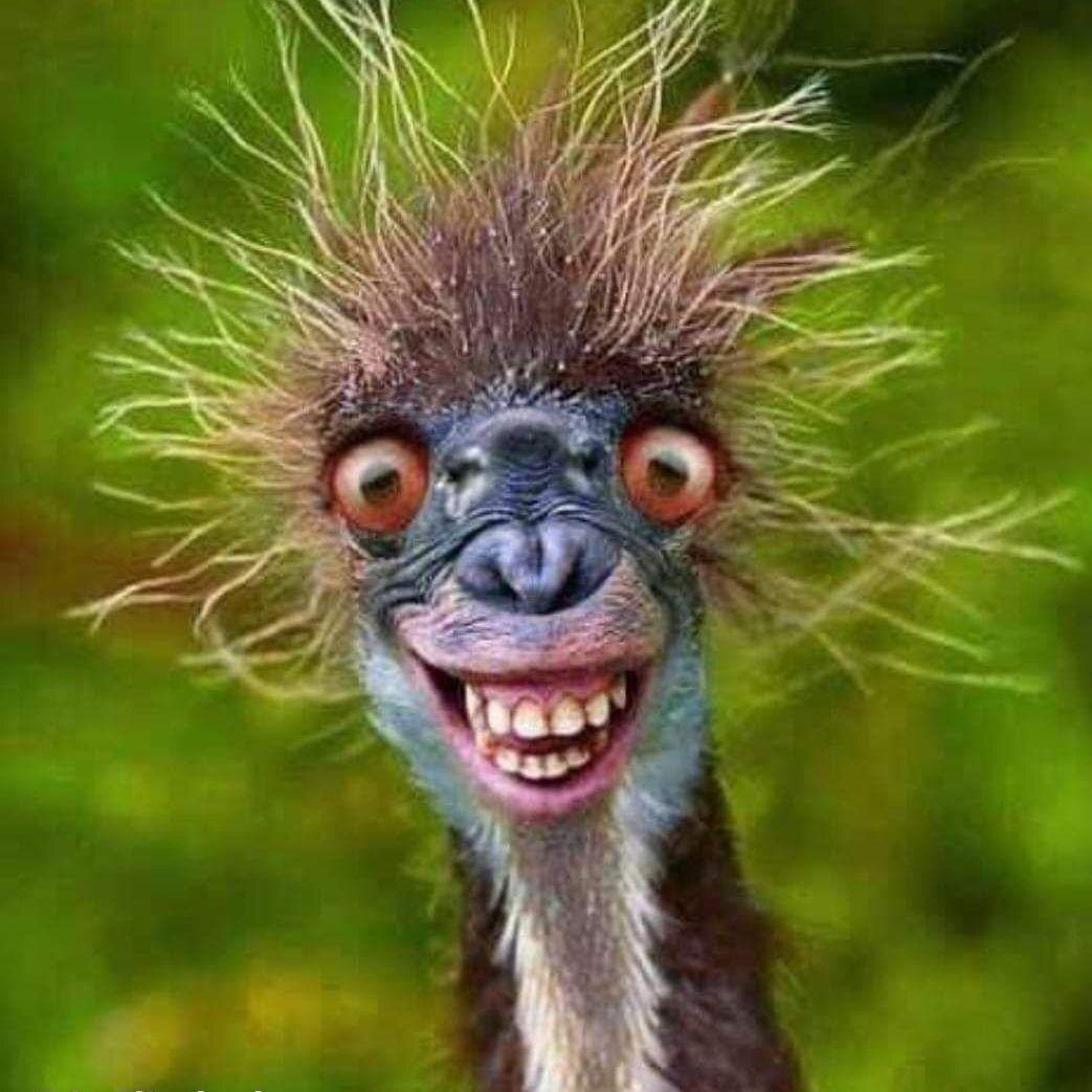 Повеселимся, друзья? 😁