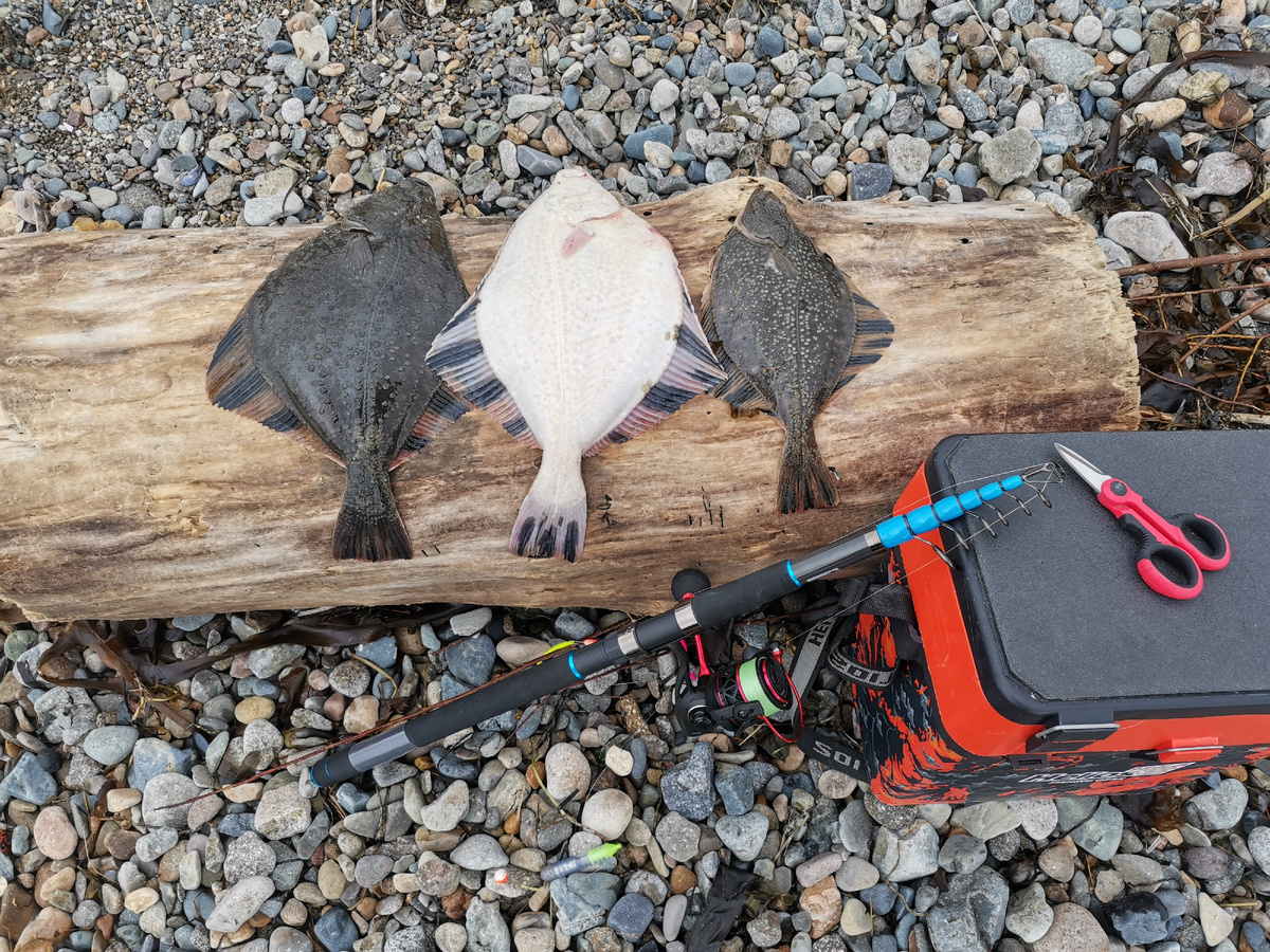 Наконец-то лично испытал популярный в Магадане спиннинг "Сириус". 