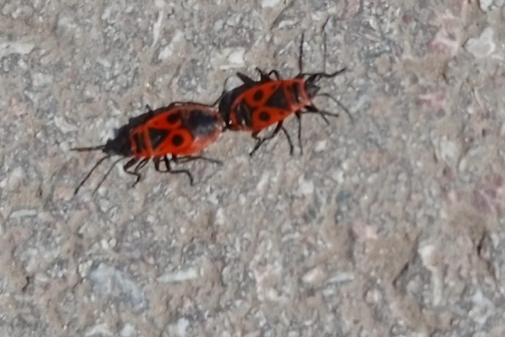    Фото Алексея Яновского