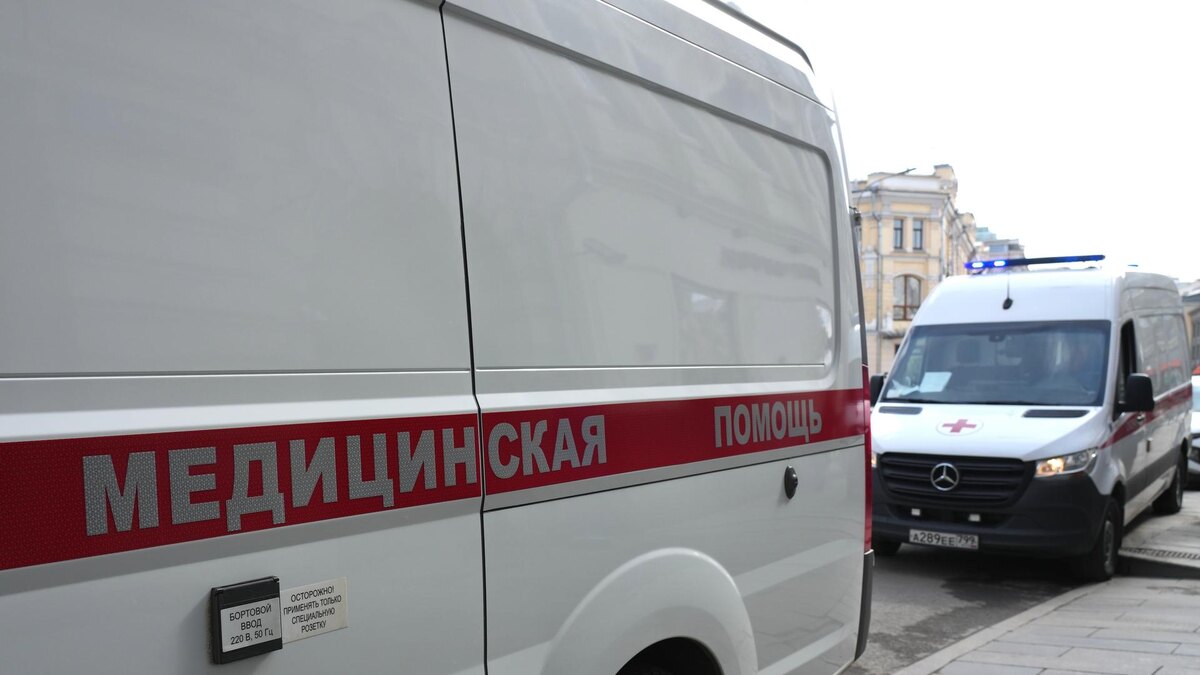    Фото: ИЗВЕСТИЯ/Дмитрий Коротаев