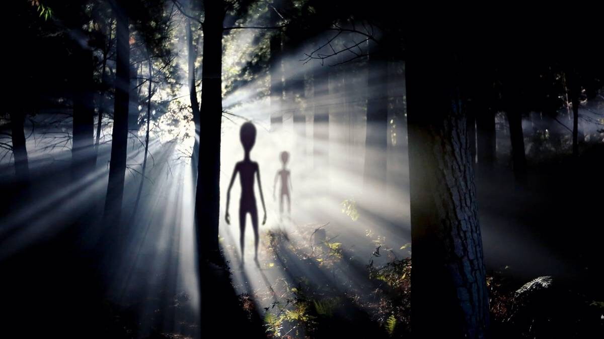    Инопланетян представляют параноиками, беззвучно прячущимися за каждым деревом и кустом / Фото: Shutterstock