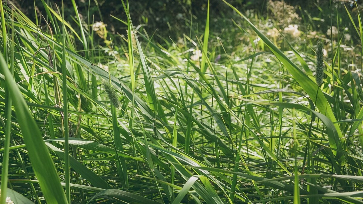     Источник: 1MI