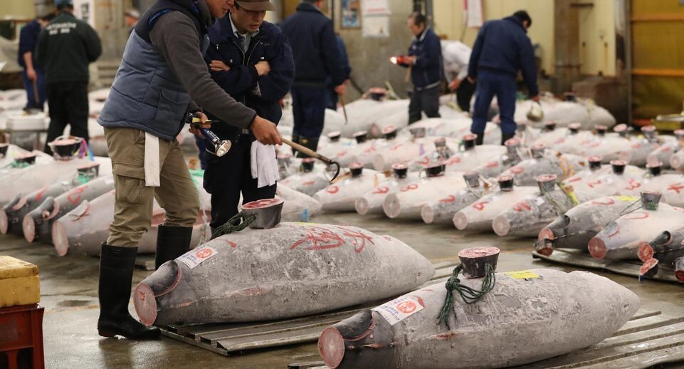    Yoshio Tsunoda/AFLO / www.globallookpress.com