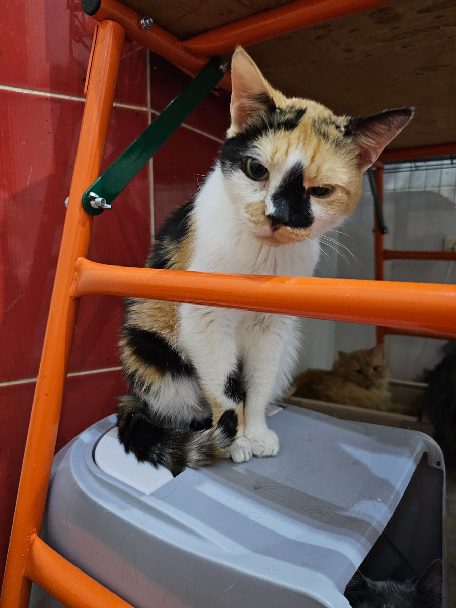 Фото автора. Нося наша девочка.