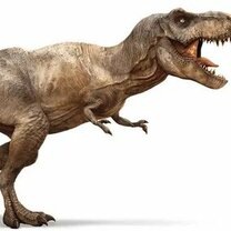 Фото из свободного доступа в интернет 