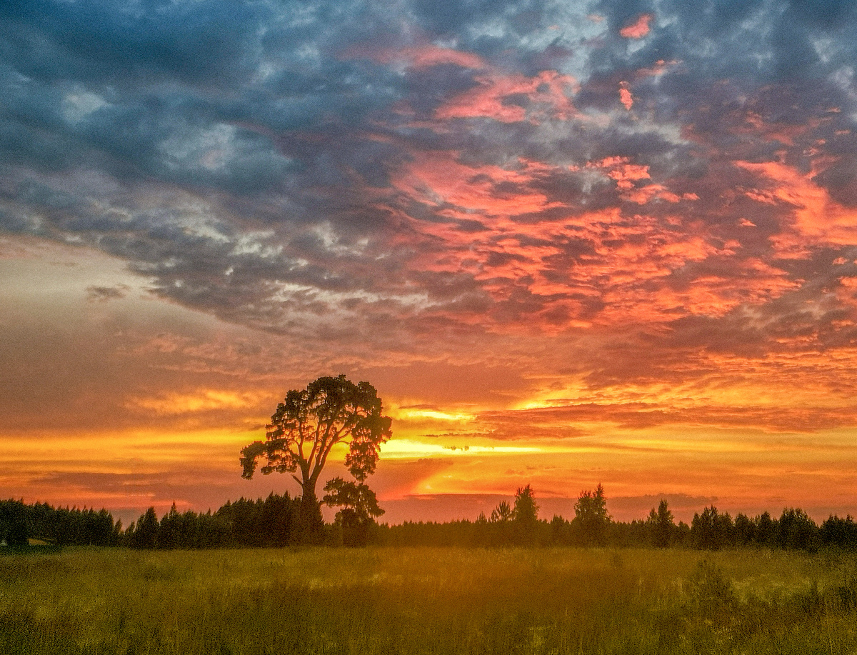 фото: Sergey Metelitsa/Global Look Press