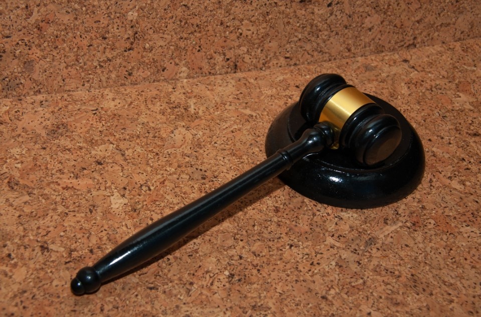    Фото: Svetlana Vozmilova/Globallookpress