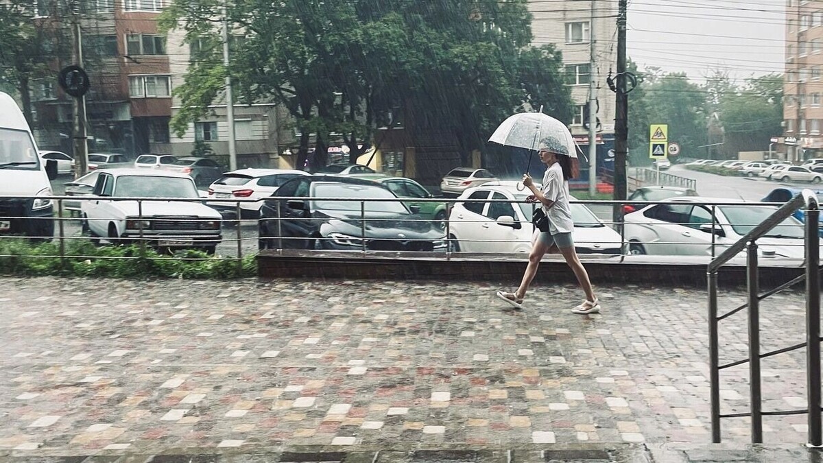     Источник: 1MI