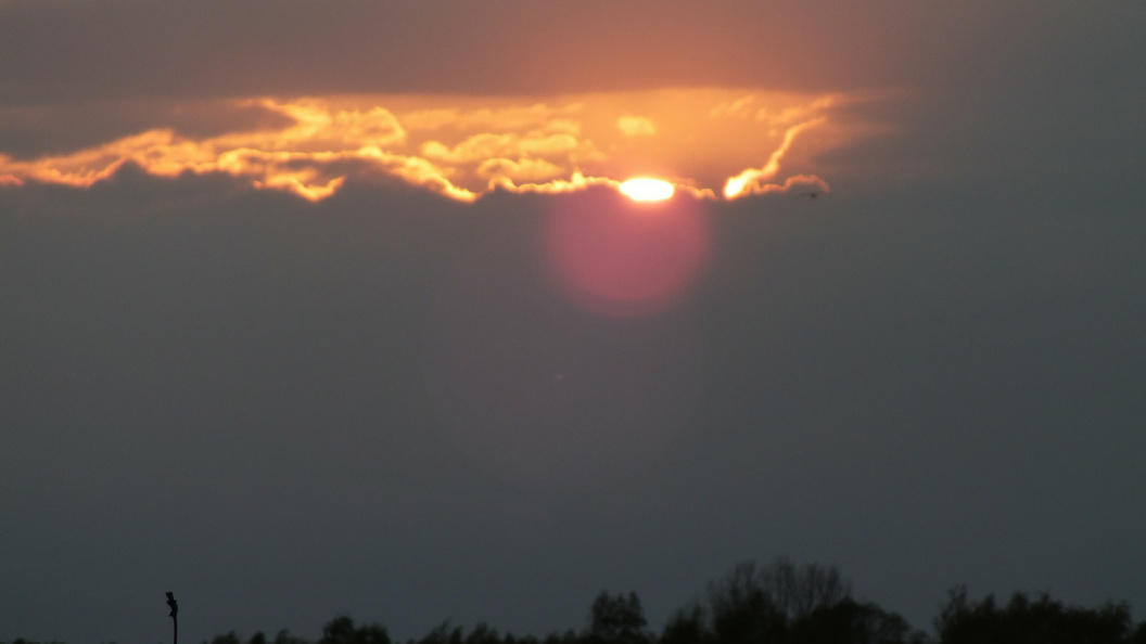    Фото: Виктор Л/Global Look Press