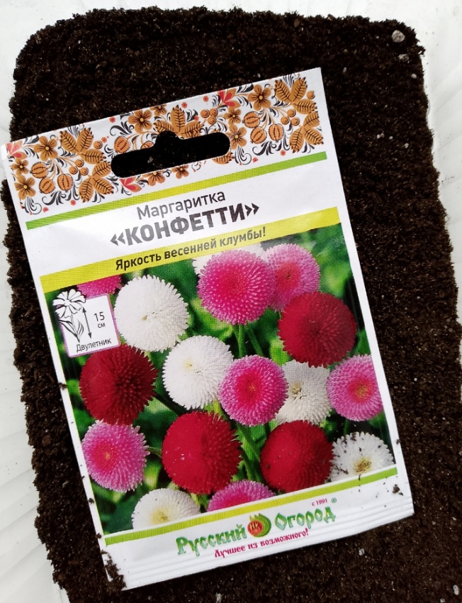 Даже фотографии рассады не сохранила, так жалко было выбрасывать