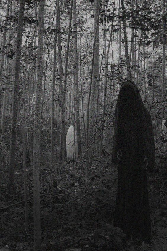 Изображение взято из открытых источников интернета. 