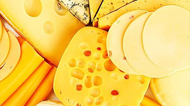     Растет отечественное производство сыра