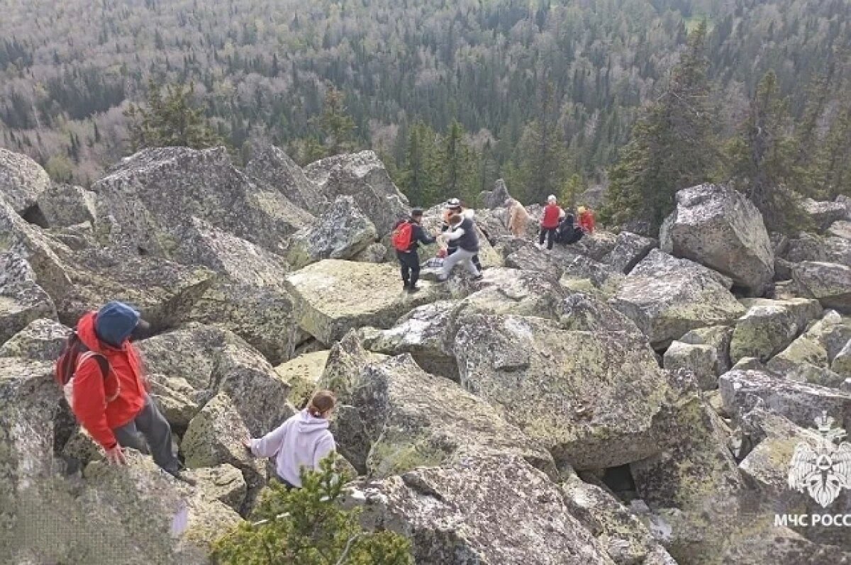    В Башкирии медведь загнал 20 туристов на гору