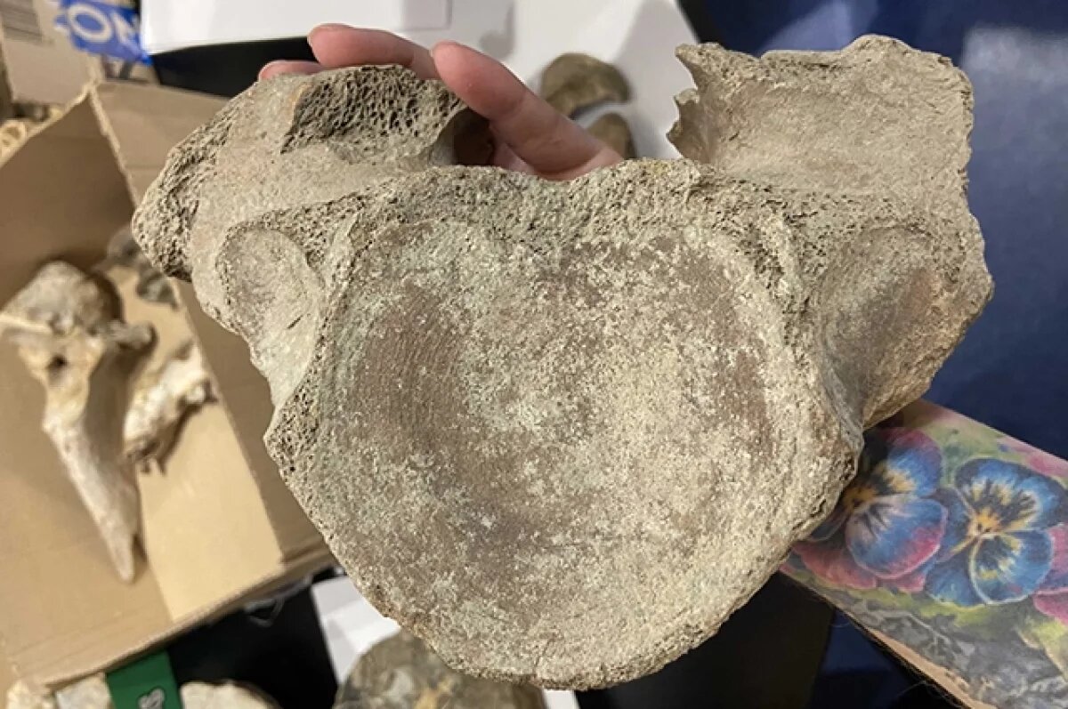    Фото носит иллюстративный характер