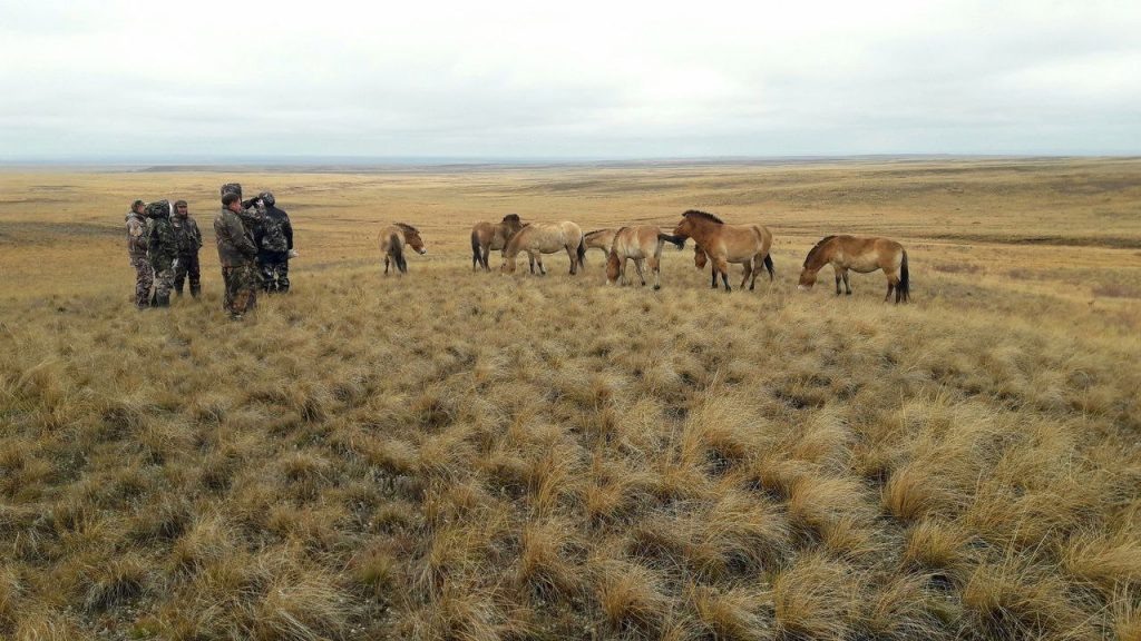    Оренбургский заповедник приглашает на военно-историческое мероприятие Оренбуржье