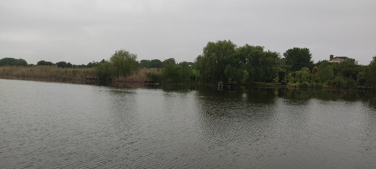 Каждое утро такая картина