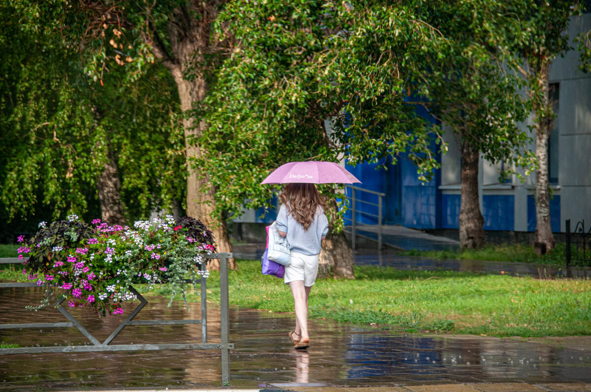 Погода будет дождливой.  Фото: Фото: ФедералПресс / Светлана Возмилова