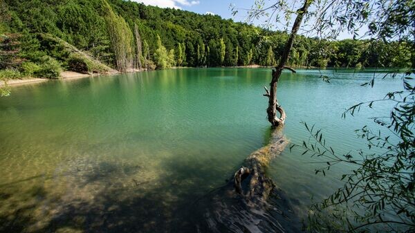    © РИА Новости Крым . Дмитрий Макеев