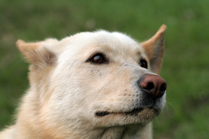    Фото из архива VN.ru