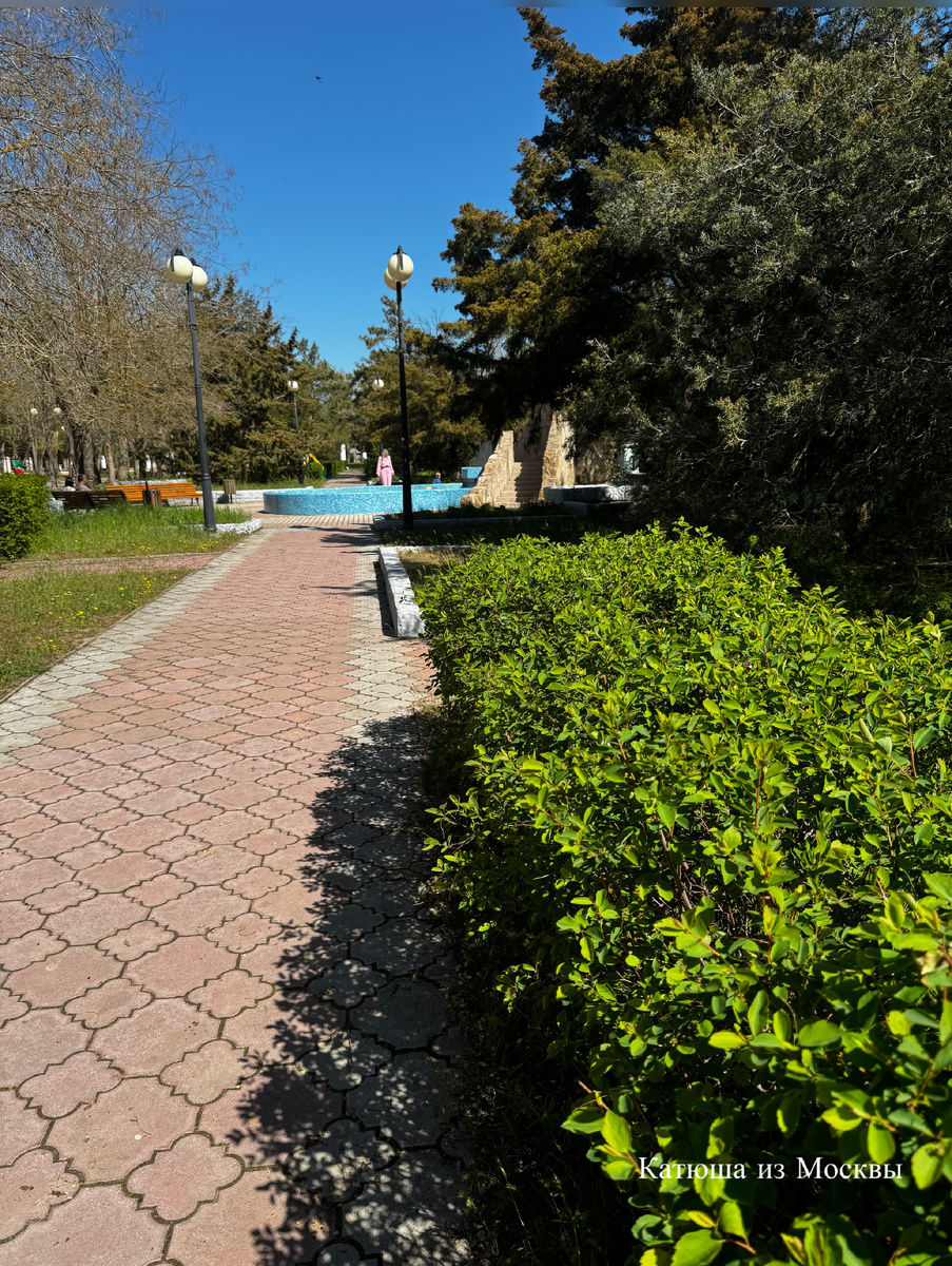 Фото сделано автором канала на дзен Катюша из Москвы