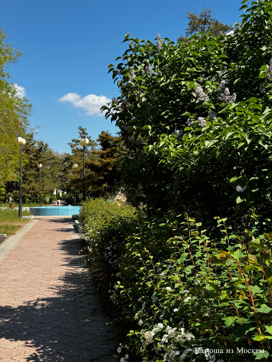 Фото сделано автором канала на дзен Катюша из Москвы