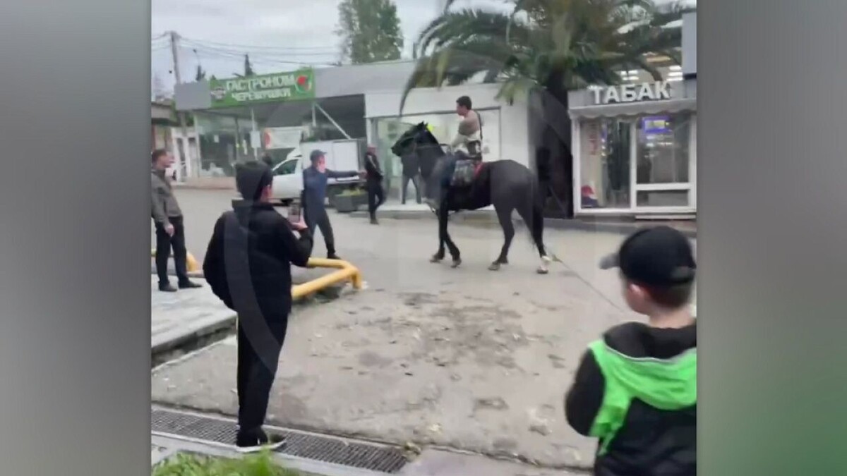    Фото: t.me/chp_sochi