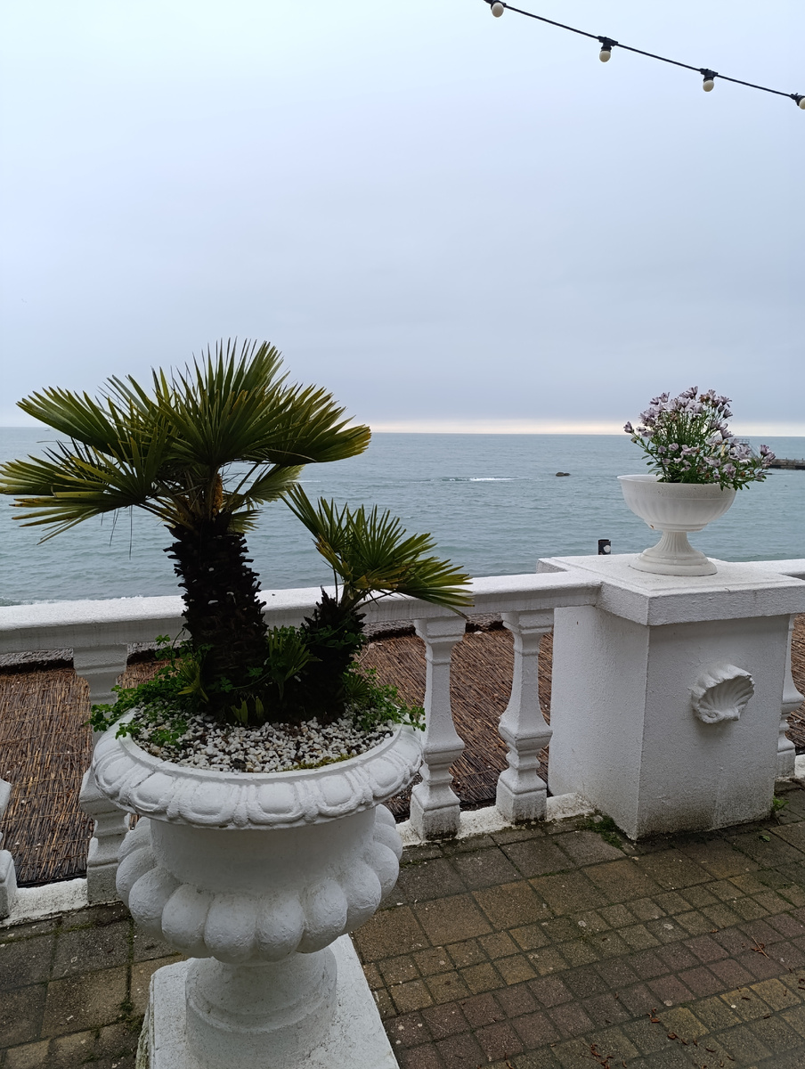 Мини пальмочки и море