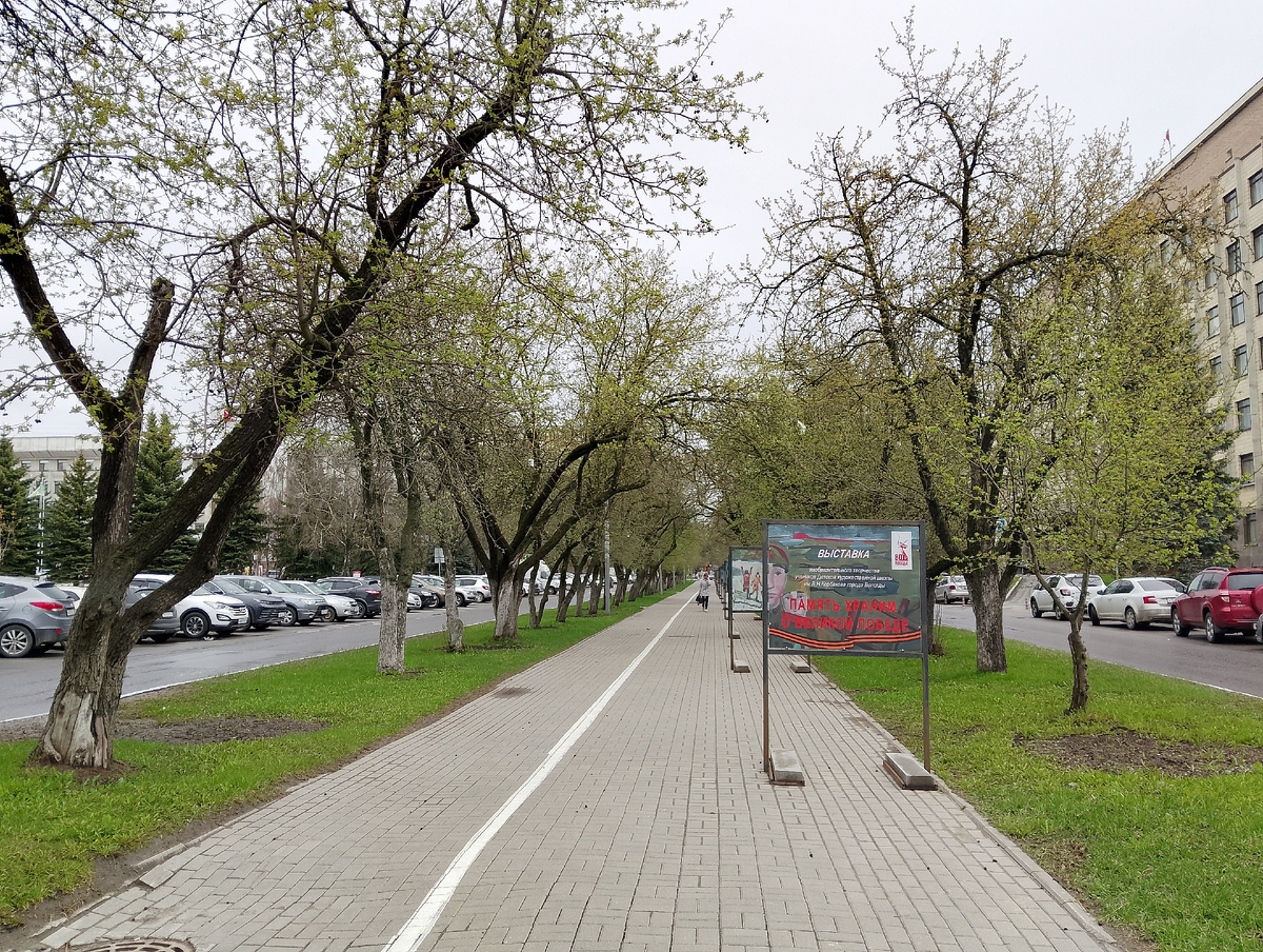 Только на яблонях немного листва заметна, фото автора