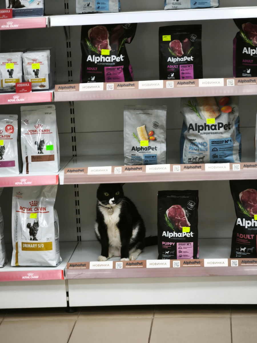 Новинки нынче такие.