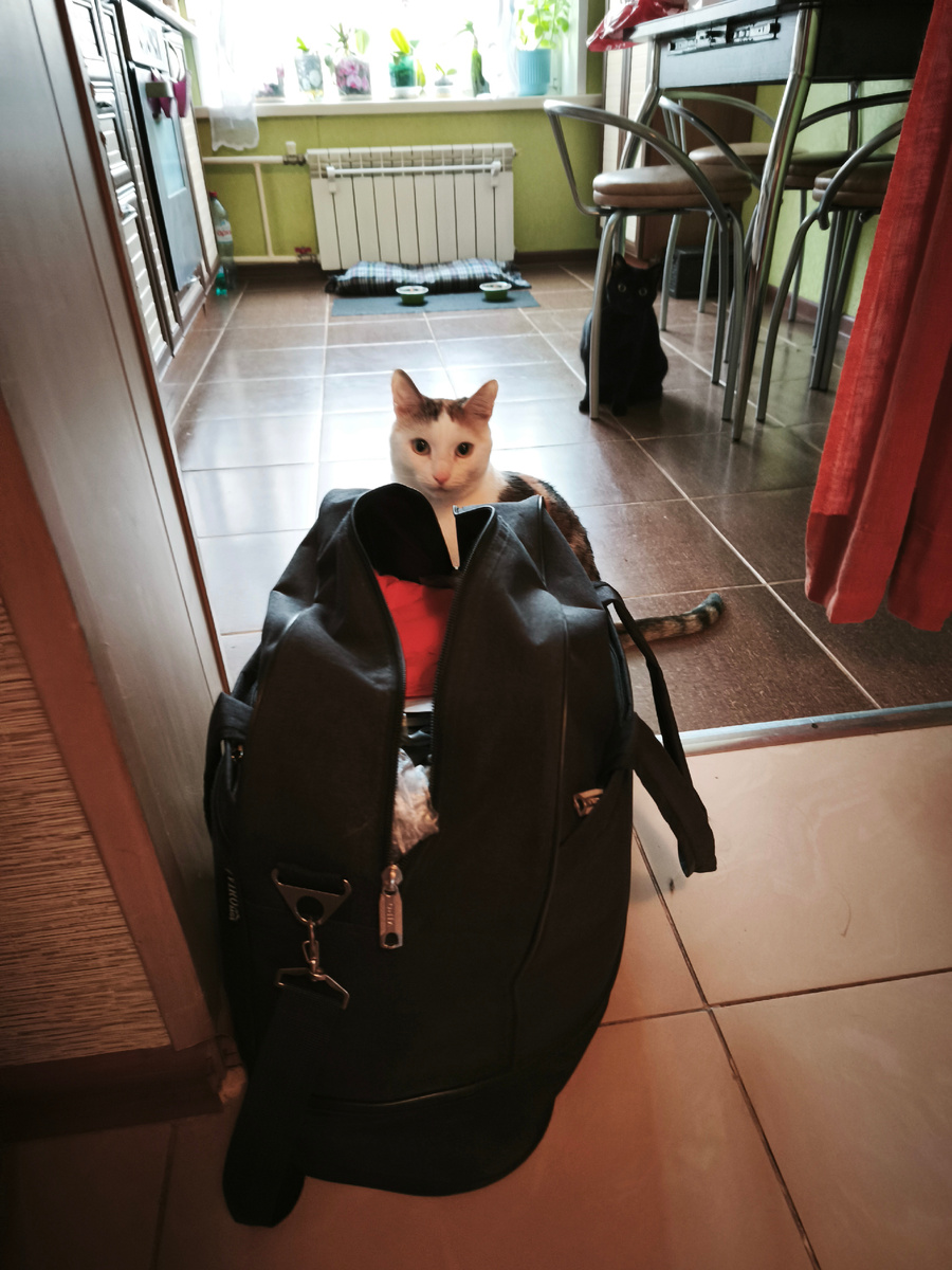 Вернулась, блудная мать?