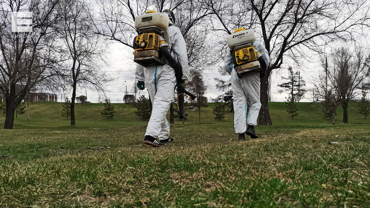     Красноярские Столбы и Гремячую гриву обработают от клещей