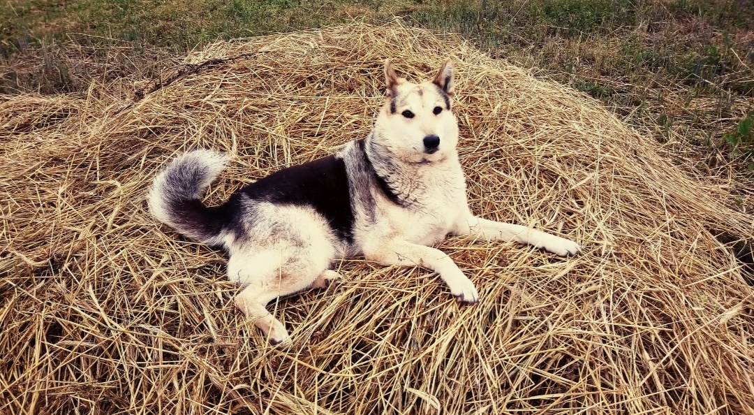 Картинка взята из Интернета 