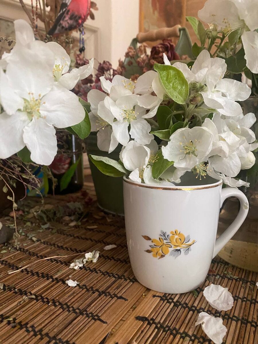 На чашке клеймо Полонского фарфорового завода 1960-1970 гг.