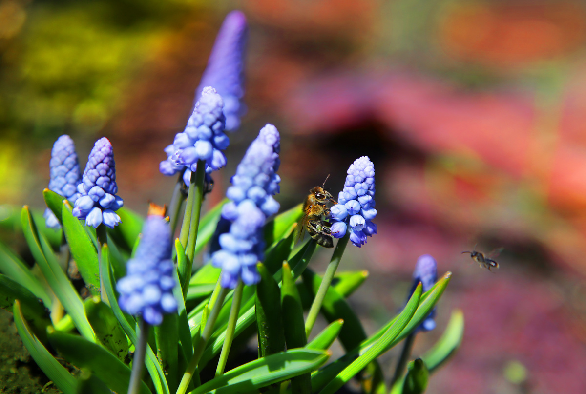 Весна - приход новой жизни