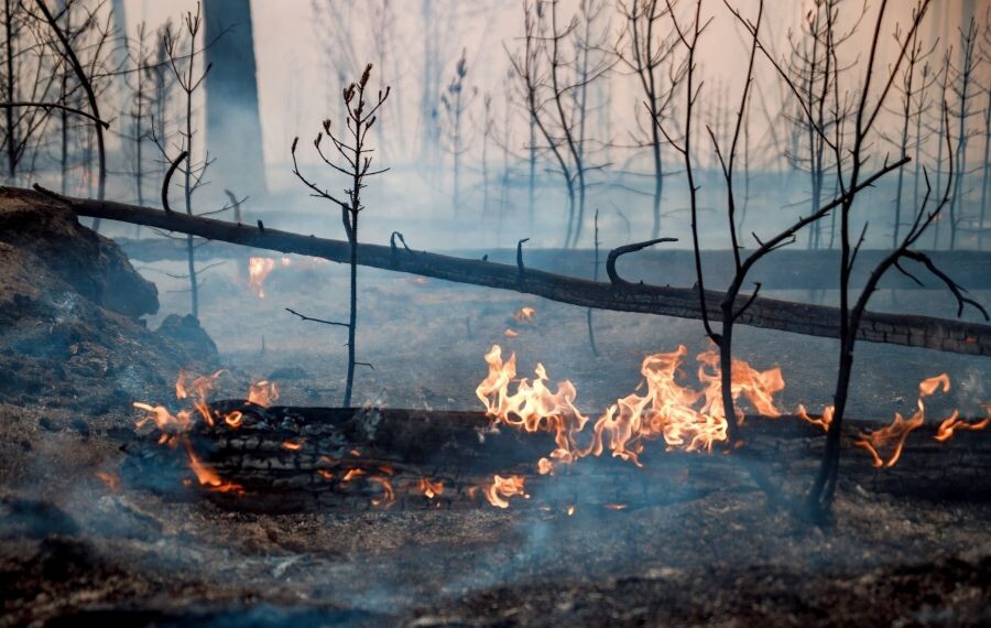     / Источник: © Андрей Сорокин/РИА Новости