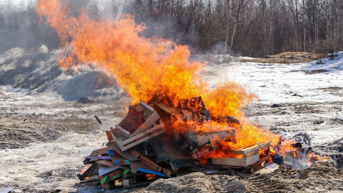   Фото: Василий Петров/«Ямал-Медиа»