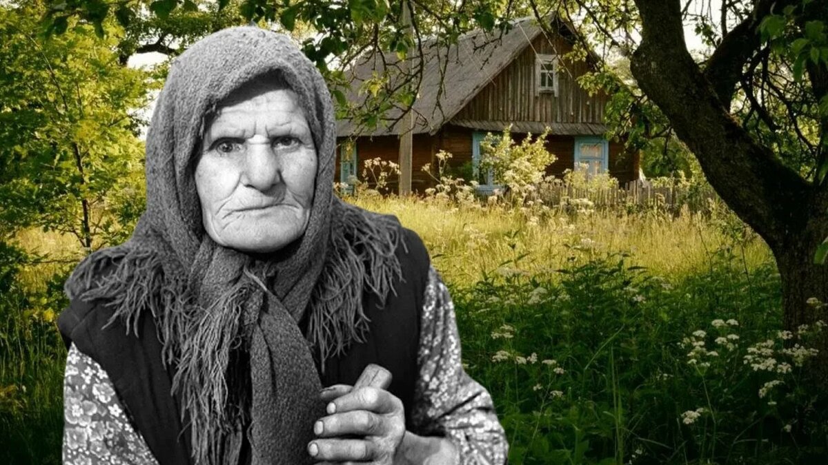 картинка взята в свободном доступе в сети