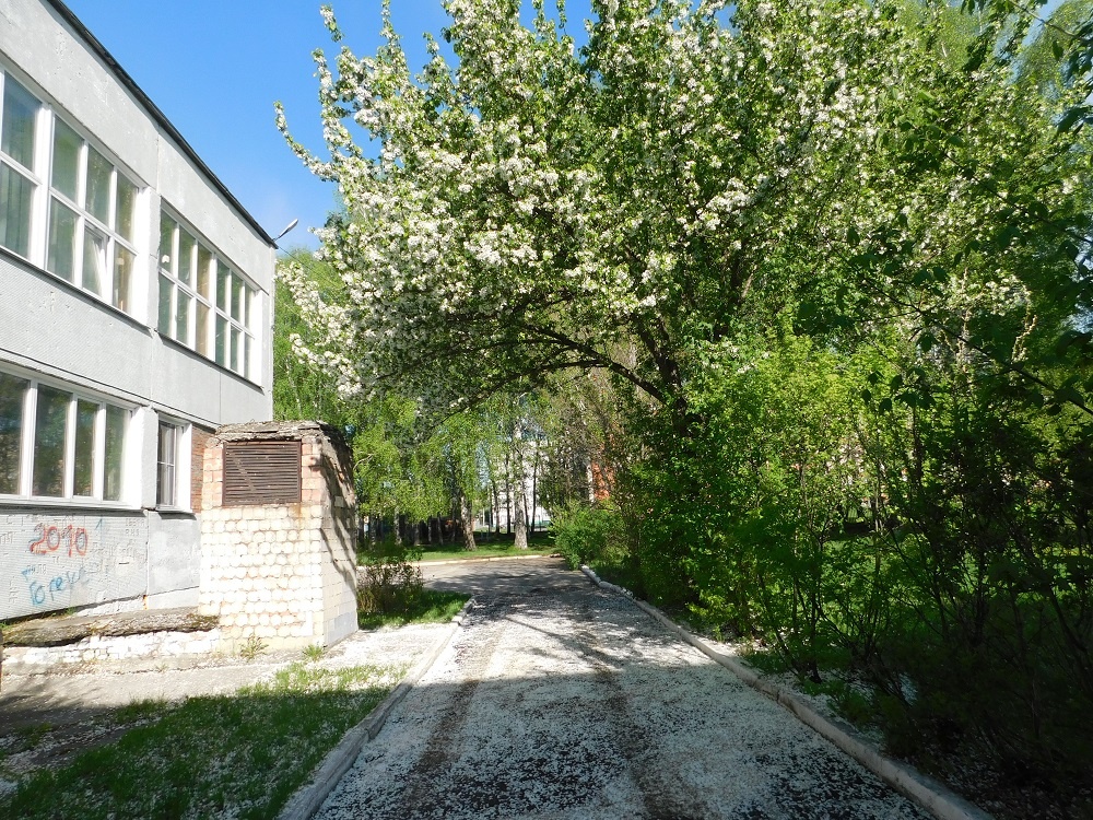    Пусть в мае будет снег только из белых лепестков. Фото Анны Зубаревой