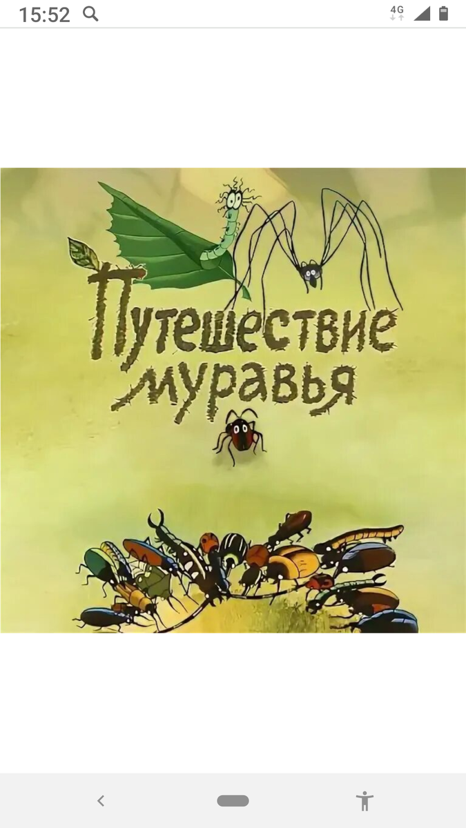 Картинки взяты из интернета