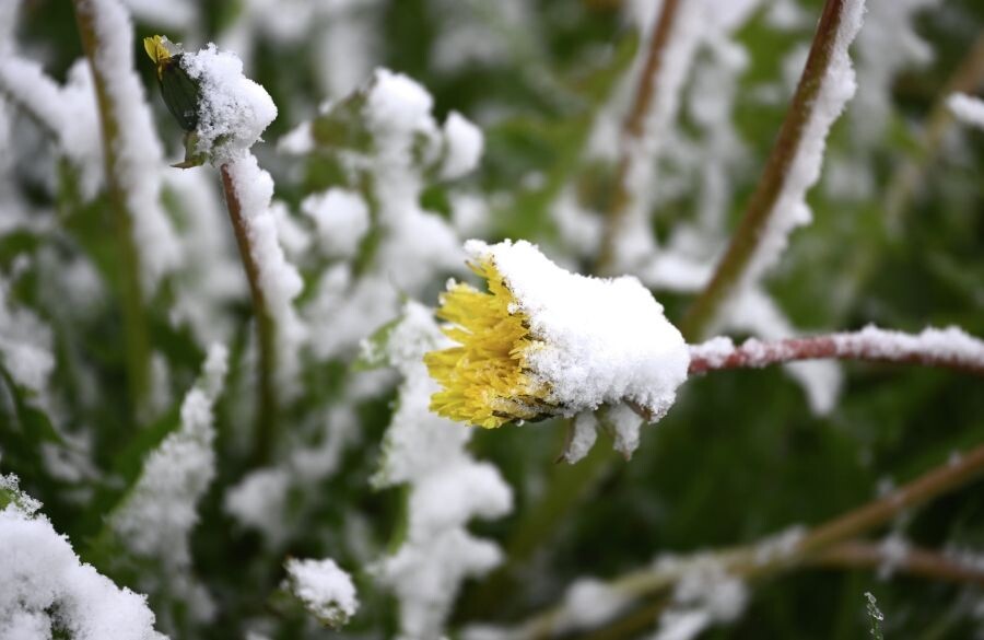     / Источник: © Владимир Астапкович/РИА Новости