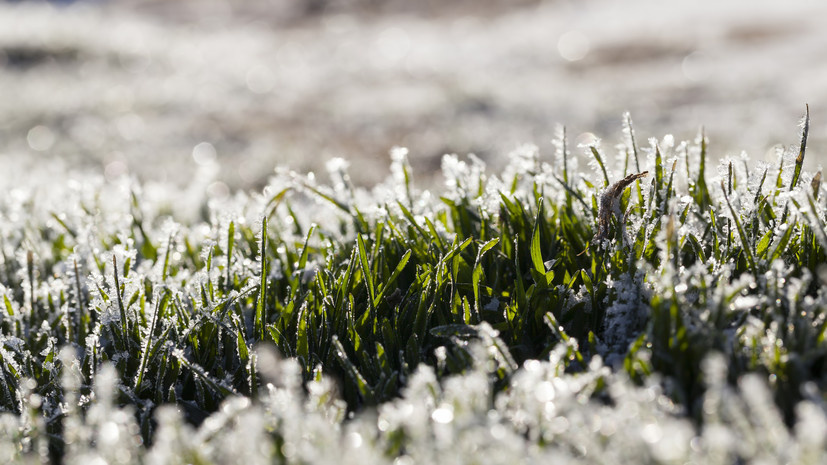   Gettyimages.ru ligora