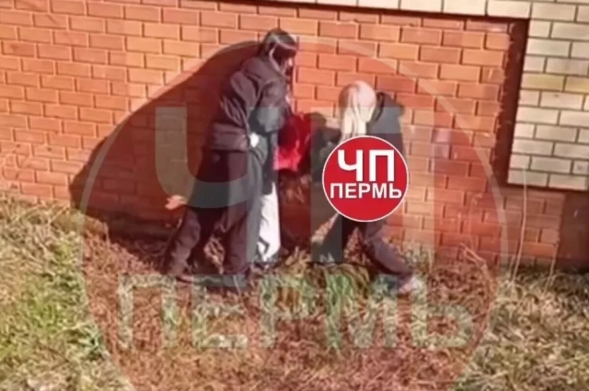    В Перми подростки схватили девочку и избили ногами, снимая видео