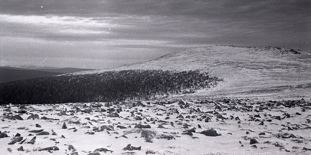 Перевал Дятлова. ПОИСКИ И НАХОДКИ НА СКЛОНЕ ГОРЫ