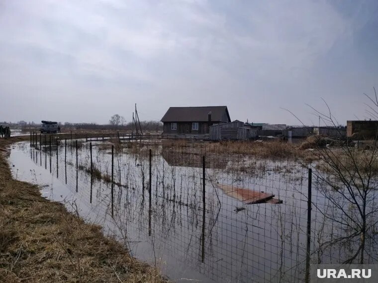 Большая часть из них находится в Чусовом. Фото: Ксения Шабанова © URA.RU