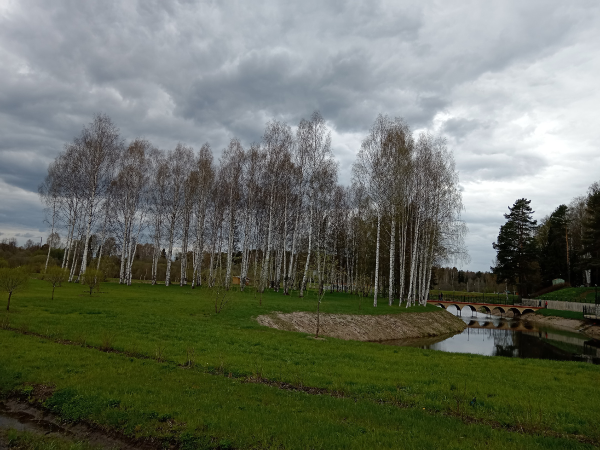 Пруд на территории санатория "Нижне-Ивкино".