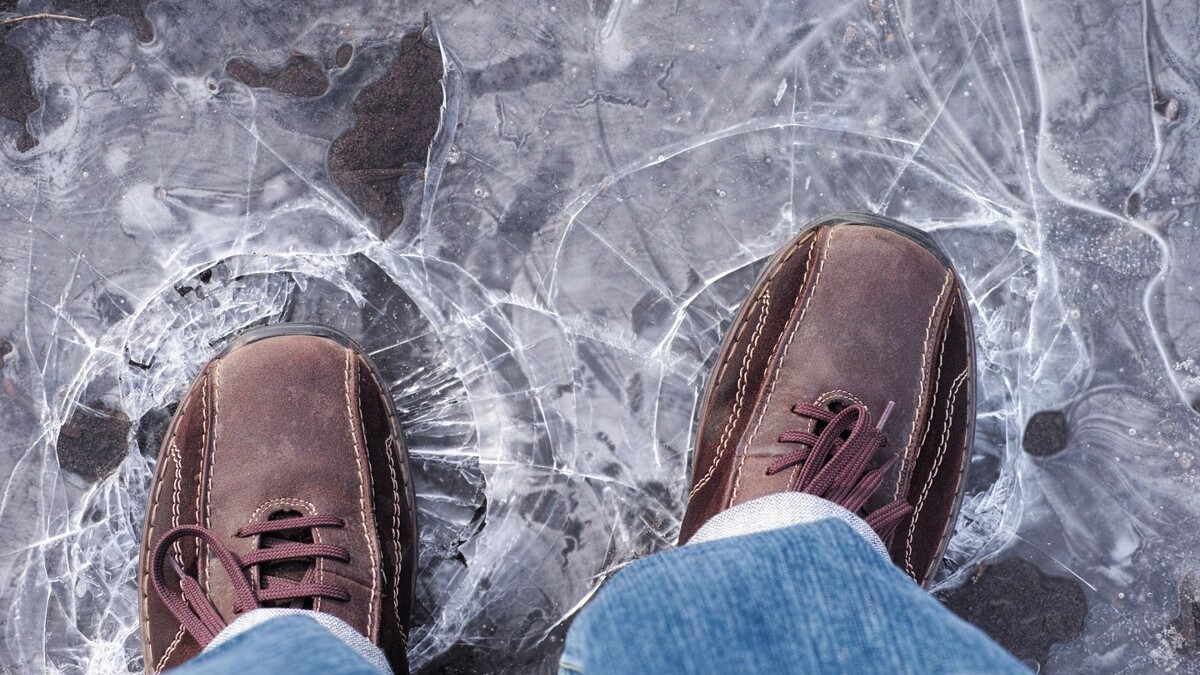    Фото: StepanPopov / Shutterstock / Fotodom