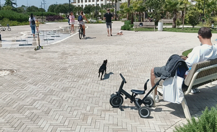 ФТ Сириус, Имеретинская набережная, парк "Мантера", май 2025 года