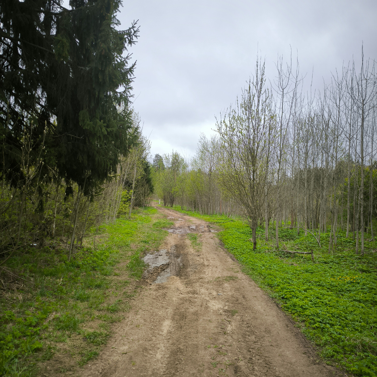 Это самый комфортный участок бездорожья